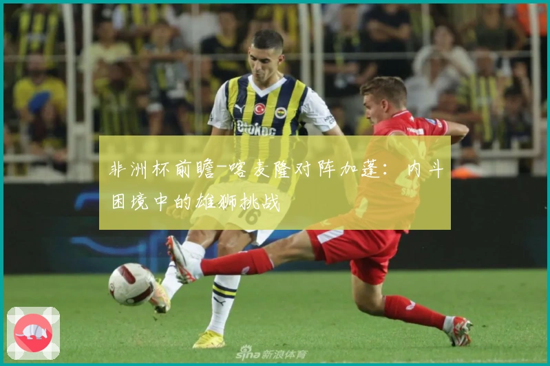 非洲杯前瞻-喀麦隆对阵加蓬：内斗困境中的雄狮挑战